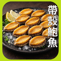 帶殼鮑魚(12P) 帶殼鮑魚(12P)