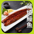 蒲燒鰻魚 蒲燒鰻魚
