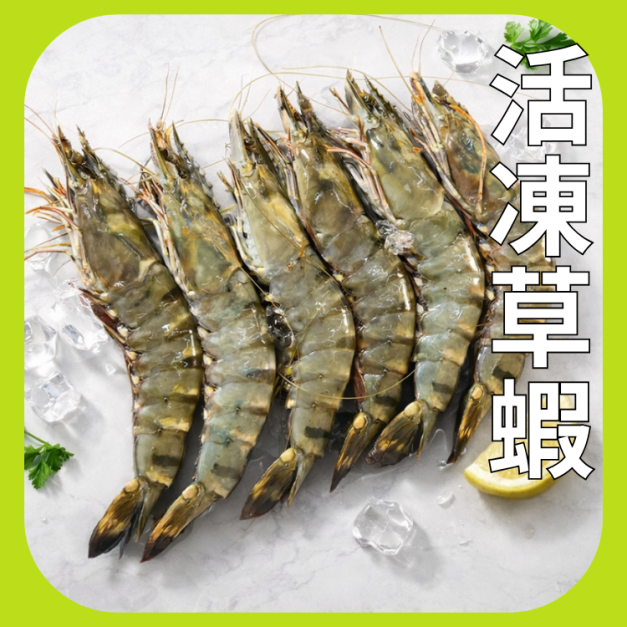 6P活凍草蝦 6P活凍草蝦
