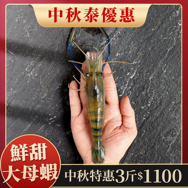 【中秋泰優惠】大母蝦超殺優惠組-3斤只要11000元