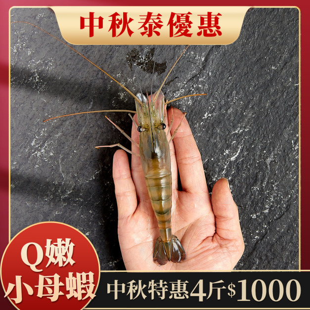 【中秋泰優惠】小母蝦 4斤1000元 1斤約20~25隻 【中秋泰優惠】小母蝦 4斤1000元 1斤約20~25隻