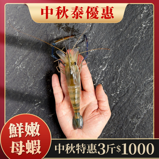 【中秋泰優惠】母蝦 3斤1000元 1斤約15~19隻 【中秋泰優惠】母蝦 3斤1000元 1斤約15~19隻