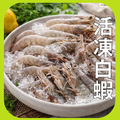 冷凍白蝦30/40 冷凍白蝦30/40