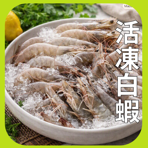 冷凍白蝦30/40 冷凍白蝦30/40