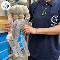 巨無霸活凍帝王蟹腳_1 巨無霸活凍帝王蟹腳_1