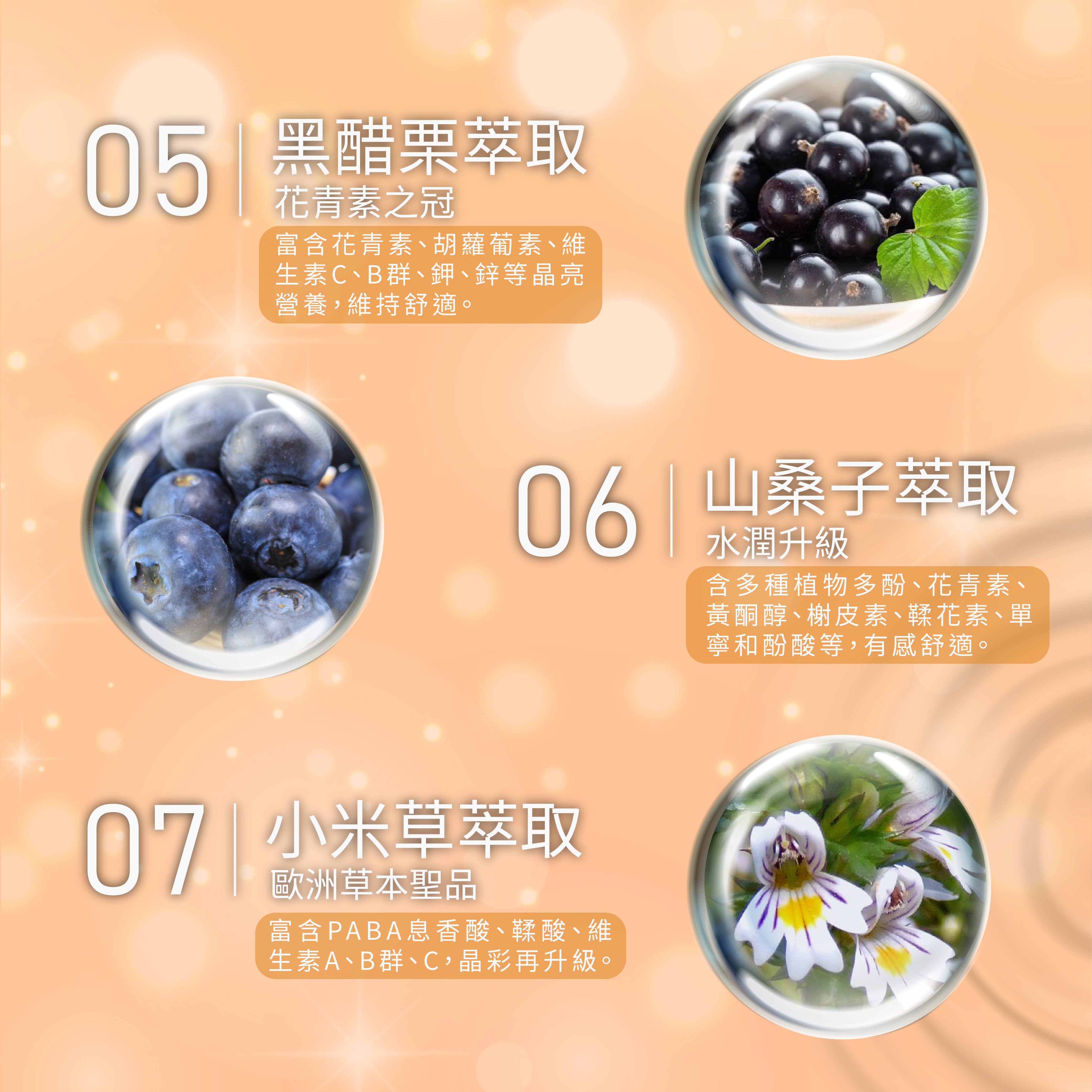 GPLS專利綠蜂膠-亮晶腈-加強版400 亮晶睛, 專利綠峰膠, 靈魂之窗, 黑醋栗, 蘆丁, 小米草, 芸香苷, 葉黃素, 護眼, 綠蜂膠, 保健, 生寶, 生寶國際, 生寶生技