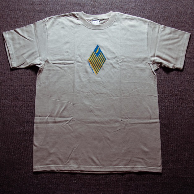 90年代 全新庫存 美國品牌 Anvil 出品 美國空軍 第99空軍基地聯隊 美軍軍事古著T恤 Deadstock TA24