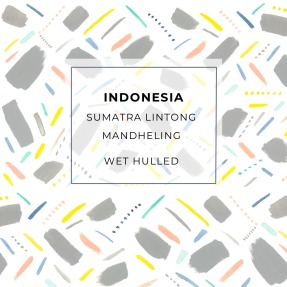 中烘焙|蘇門答臘 林東 虎皇曼特寧 濕剝法