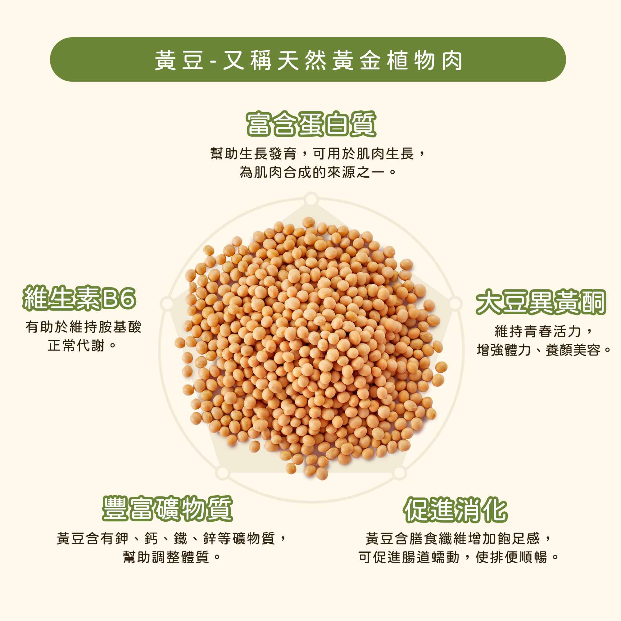 黃豆 又稱天然植物肉