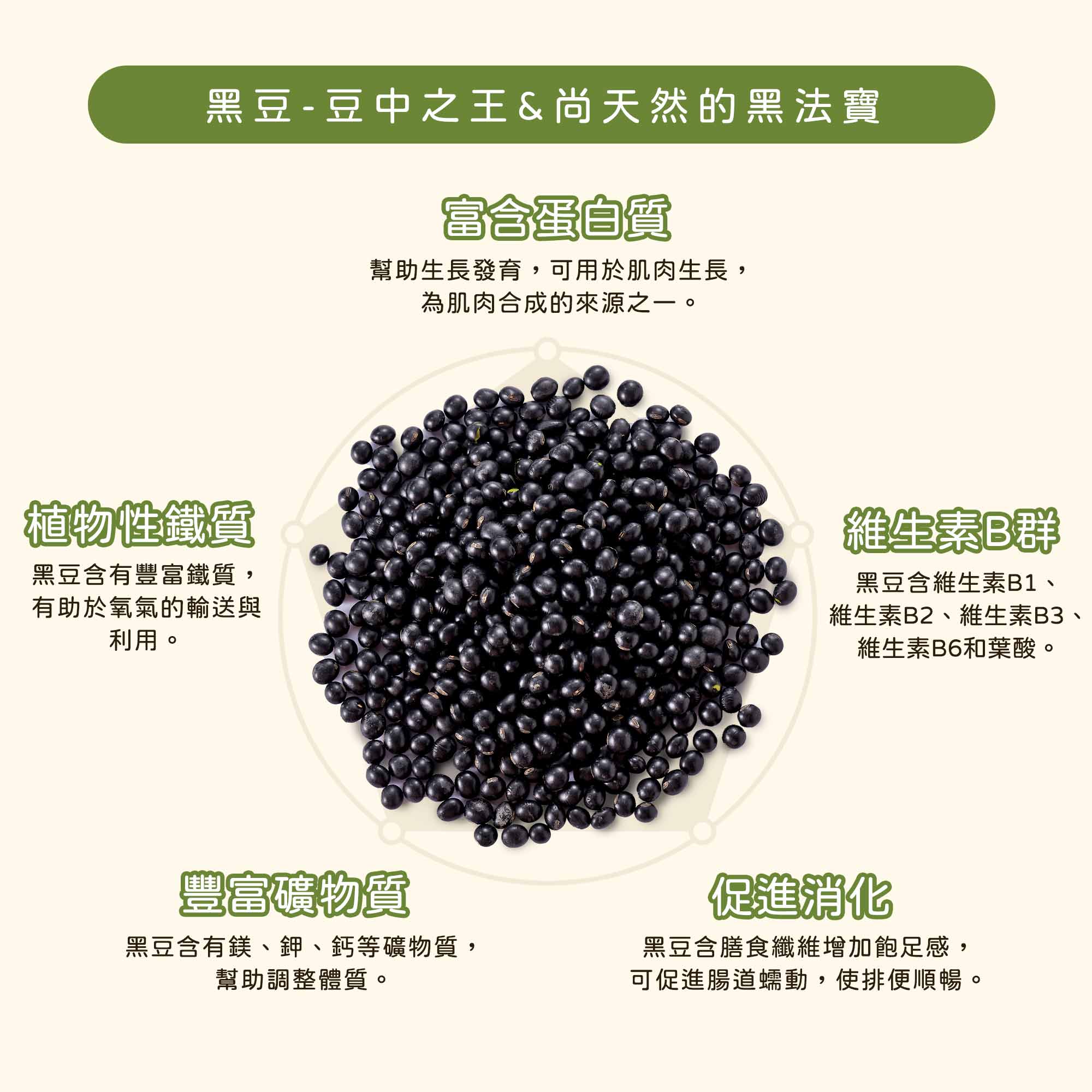 黑豆 豆中之王 尚天然的黑法寶 營養價值