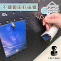 【撥撥的架子】5入 不鏽鋼磁鐵圖釘_1 【撥撥的架子】5入 不鏽鋼磁鐵圖釘_1