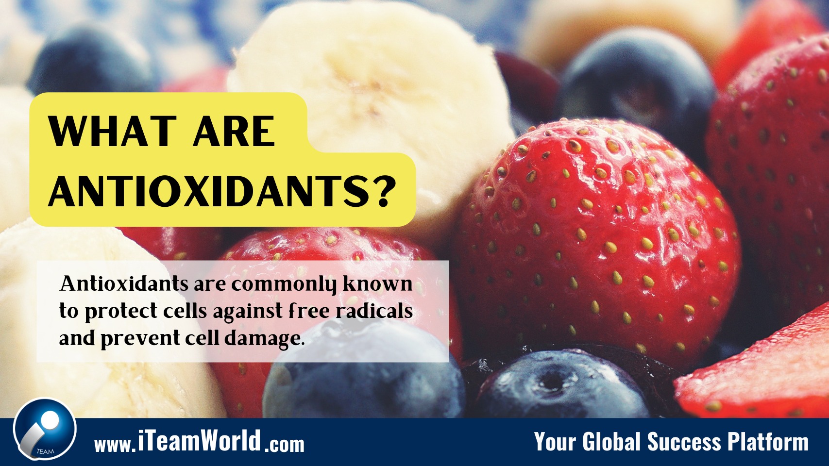 ANTIOXIDANTS