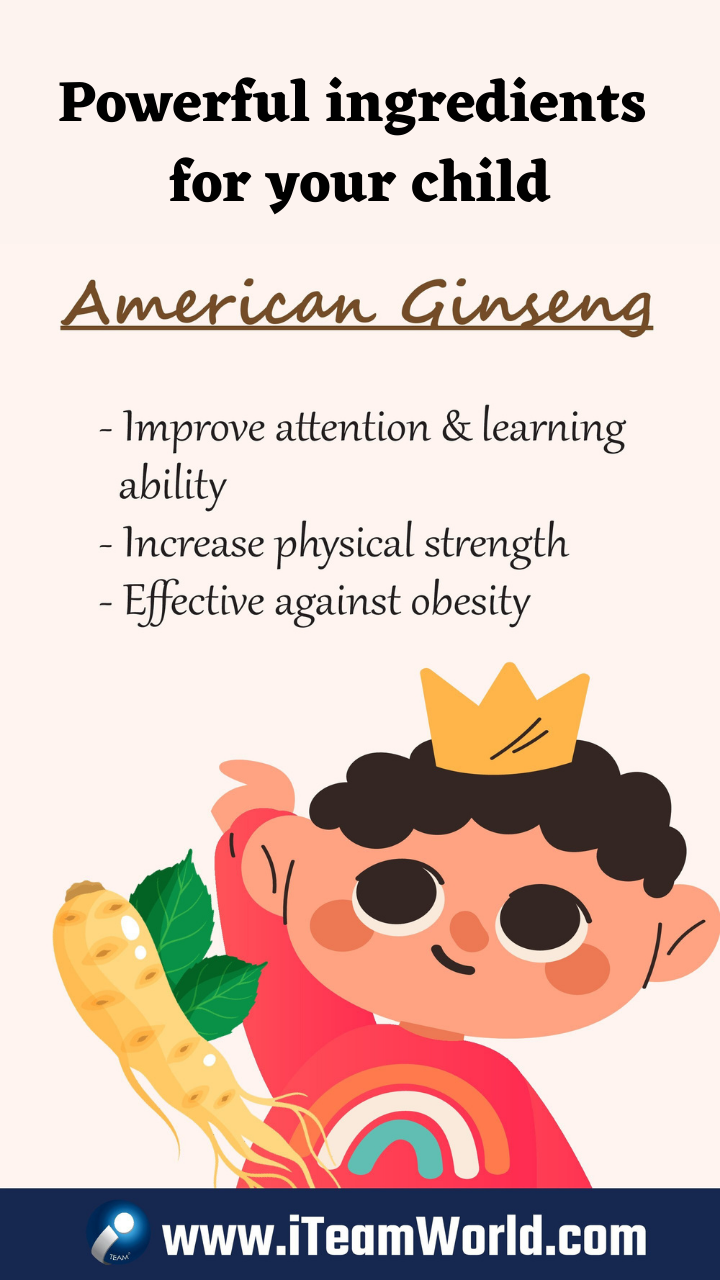 AMERICAN GINSENG