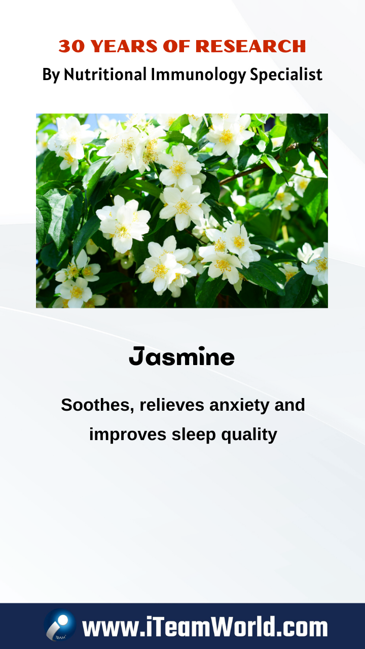 jasmine