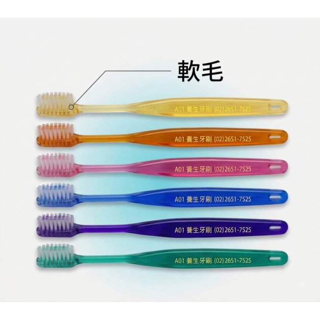 A01 元氣養生牙刷 12入 (打裝) A01 元氣養生牙刷 12入 (打裝)