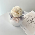 乒乓菊 (附香氛精油)|擴香花禮盒 乒乓菊 (附香氛精油)|擴香花禮盒