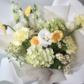 微酸萊姆繡球花束|鮮花花束_1 微酸萊姆繡球花束|鮮花花束_1