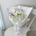 人魚姬-鬱金香|鮮花花束 人魚姬-鬱金香|鮮花花束