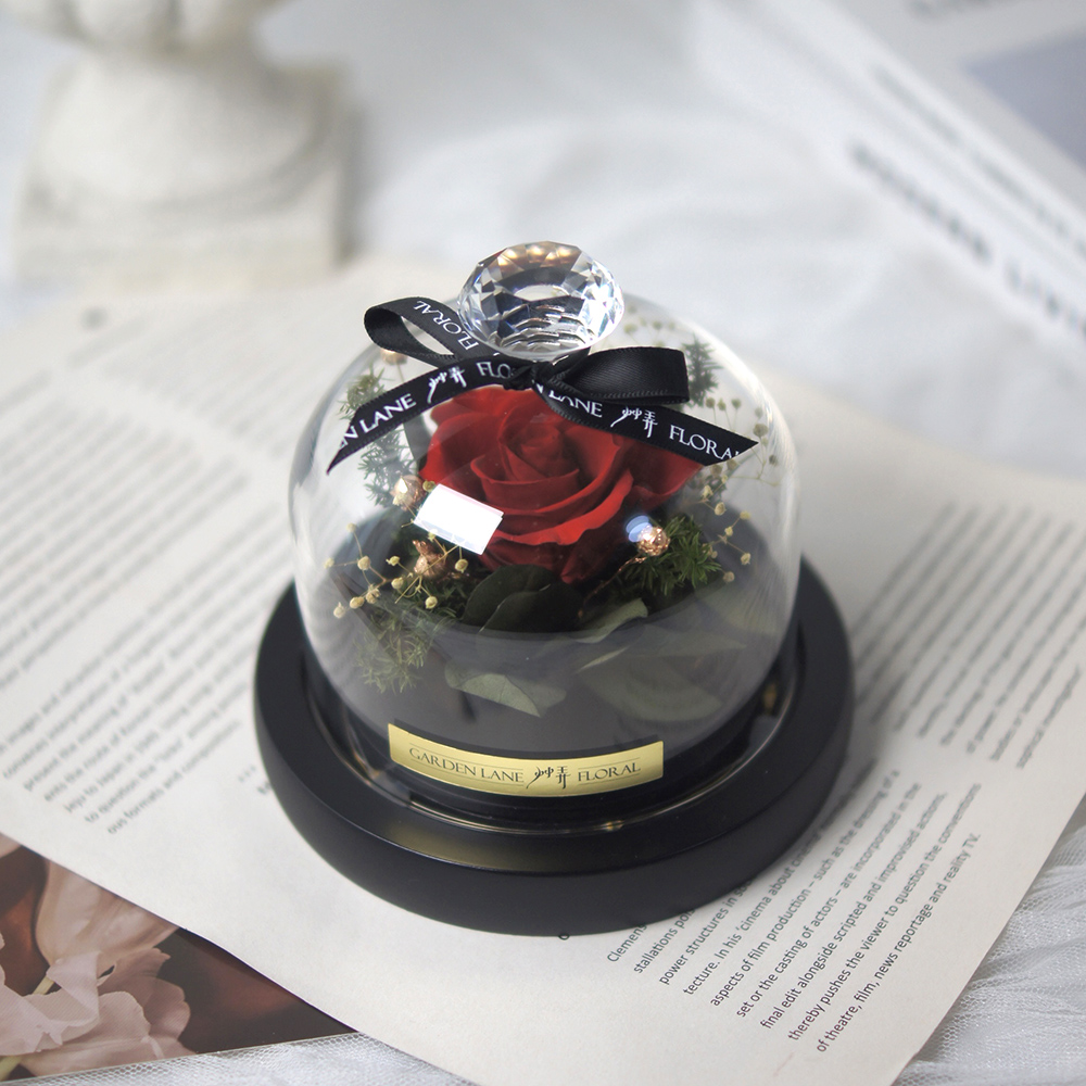 美女與野獸|永生花玻璃盅小夜燈