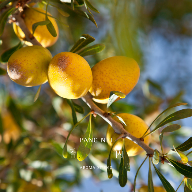 有機初榨摩洛哥堅果油 Argan nut Oil - Organic Virgin 有機初榨摩洛哥堅果油 Argan nut Oil - Organic Virgin