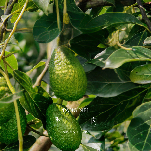 純淨初榨酪梨油 Avocado Oil 純淨初榨酪梨油 Avocado Oil