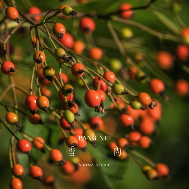 有機初榨玫瑰果油 Rosehip Oil-Organic Virgin 有機初榨玫瑰果油 Rosehip Oil-Organic Virgin