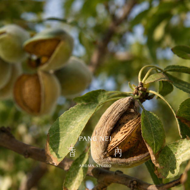 純淨初榨甜杏仁油 Sweet Almond Oil-Virgin 純淨初榨甜杏仁油 Sweet Almond Oil-Virgin