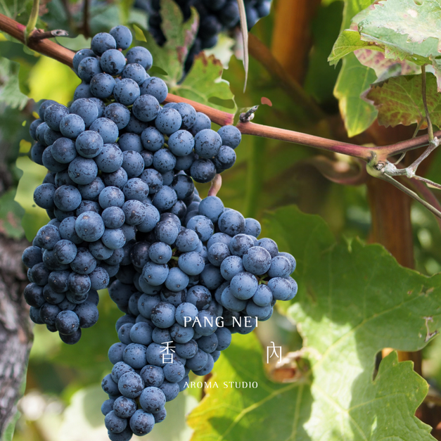 純淨初榨葡萄籽油 Grape seed Oil -Virgin 純淨初榨葡萄籽油 Grape seed Oil -Virgin