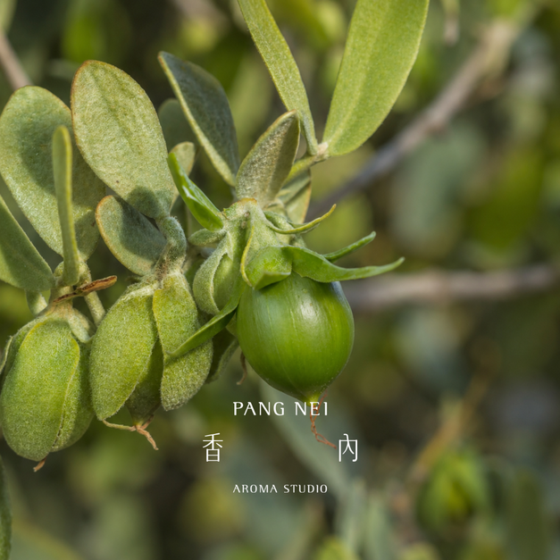 有機初榨荷荷芭油 Jojoba Oil-Organic Virgin 有機初榨荷荷芭油 Jojoba Oil-Organic Virgin