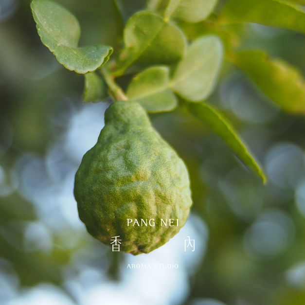 佛手柑精油 Bergamot 佛手柑精油 Bergamot