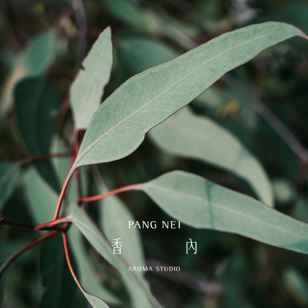 澳洲尤加利精油 Eucalyptus 澳洲尤加利精油 Eucalyptus