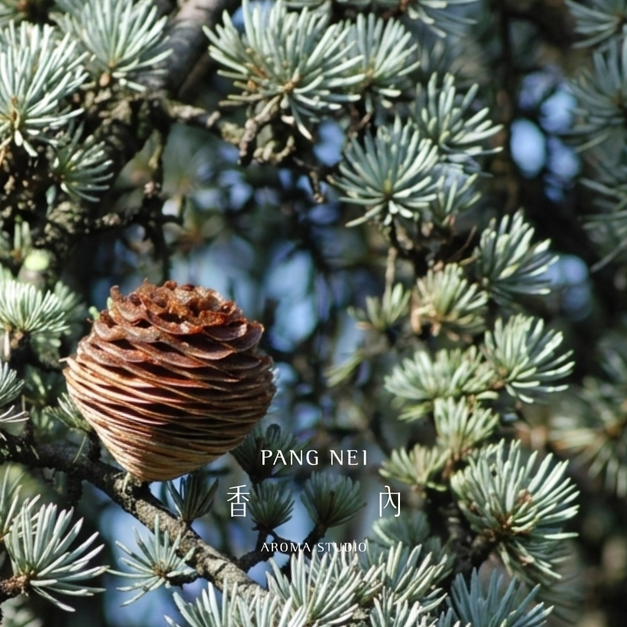 喜瑪拉雅雪松精油 Himalayan Cedarwood 喜瑪拉雅雪松精油 Himalayan Cedarwood