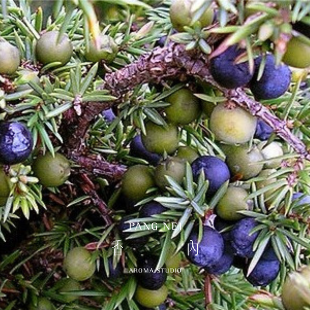杜松漿果精油 Juniper Berry 杜松漿果精油 Juniper Berry