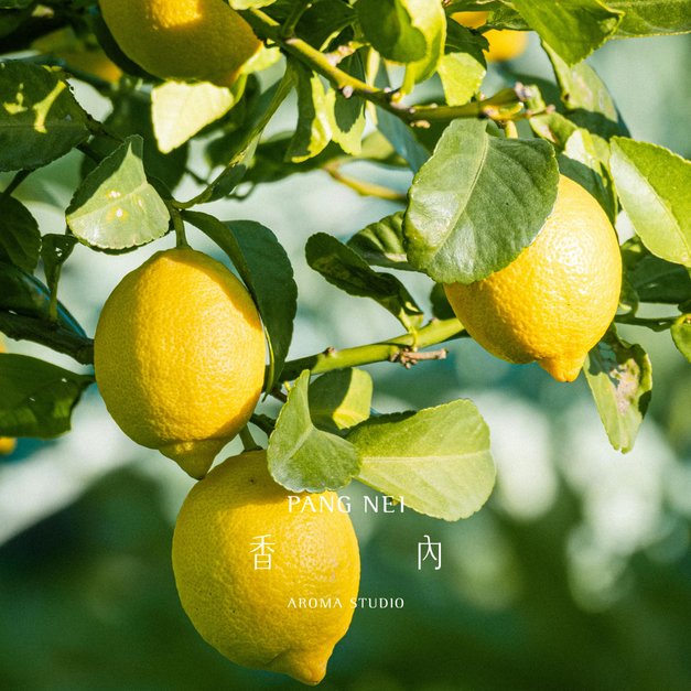 檸檬精油 Lemon 檸檬精油 Lemon