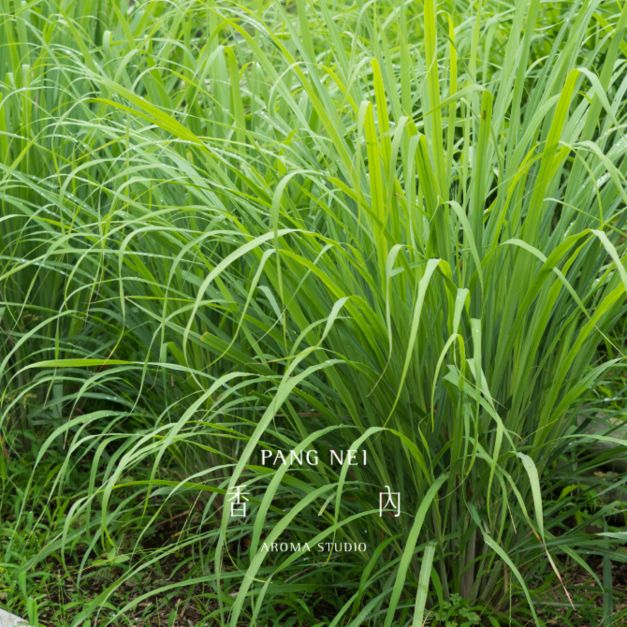 檸檬香茅精油 Lemongrass 檸檬香茅精油 Lemongrass
