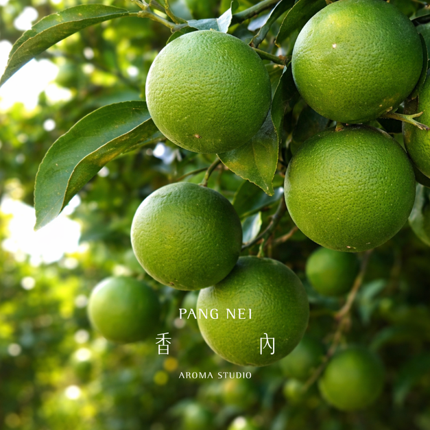 冷壓萊姆精油 Lime 冷壓萊姆精油 Lime