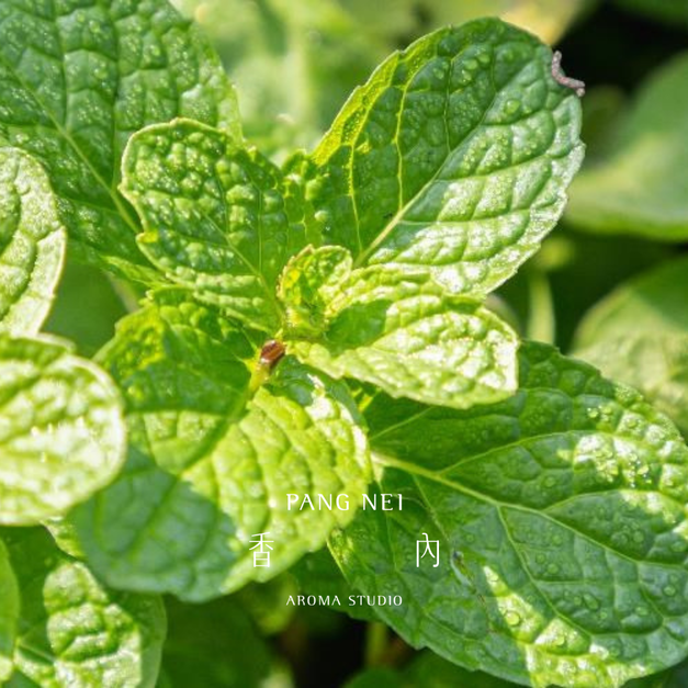 胡椒薄荷精油 Peppermint 胡椒薄荷精油 Peppermint