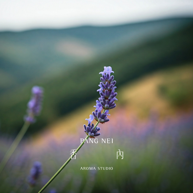 保加利亞真正薰衣草精油 Bulgaria True Lavender 保加利亞真正薰衣草精油 Bulgaria True Lavender