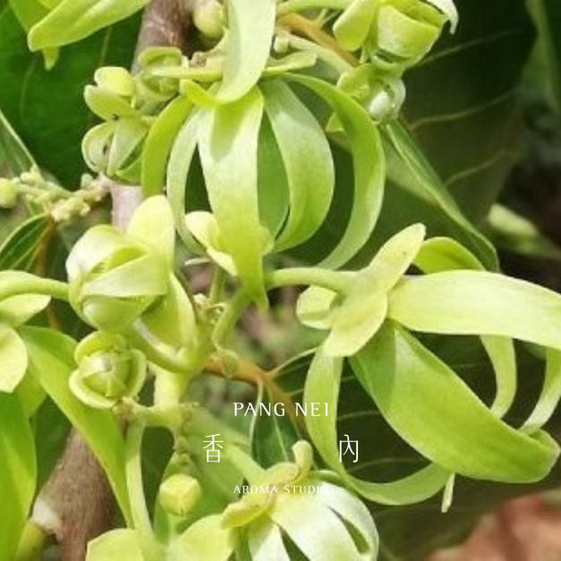 完全依蘭精油 Ylang Complete 完全依蘭精油 Ylang Complete