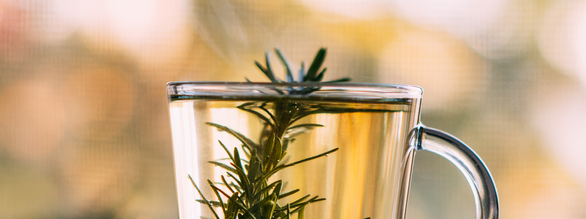 餐桌上的迷迭香料理與花草茶:寒露季節的從容日常