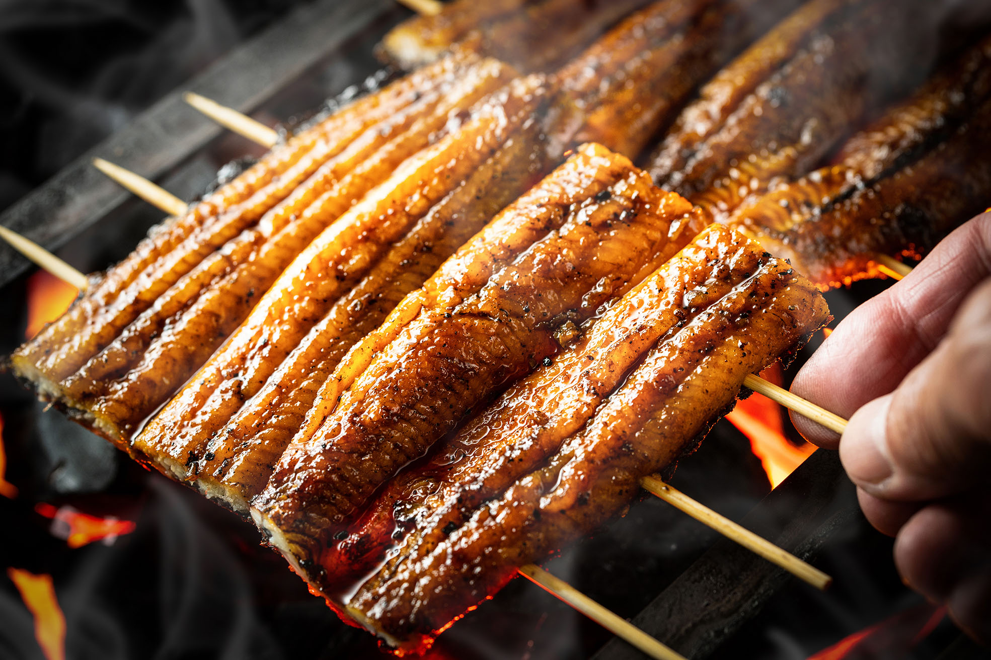 Grilled eel with kabayaki sauce-蒲燒鰻