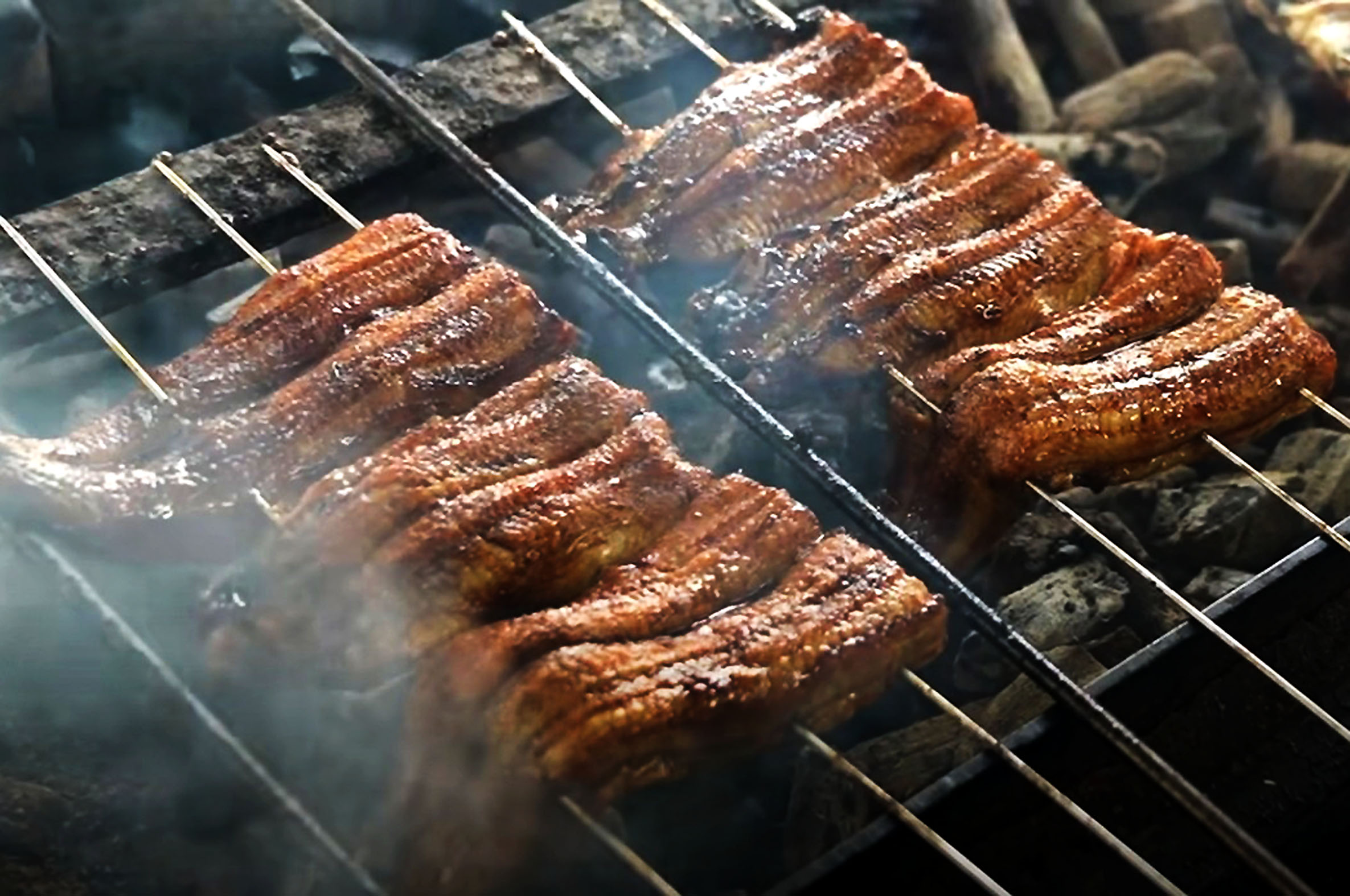 Grilled eel with kabayaki sauce