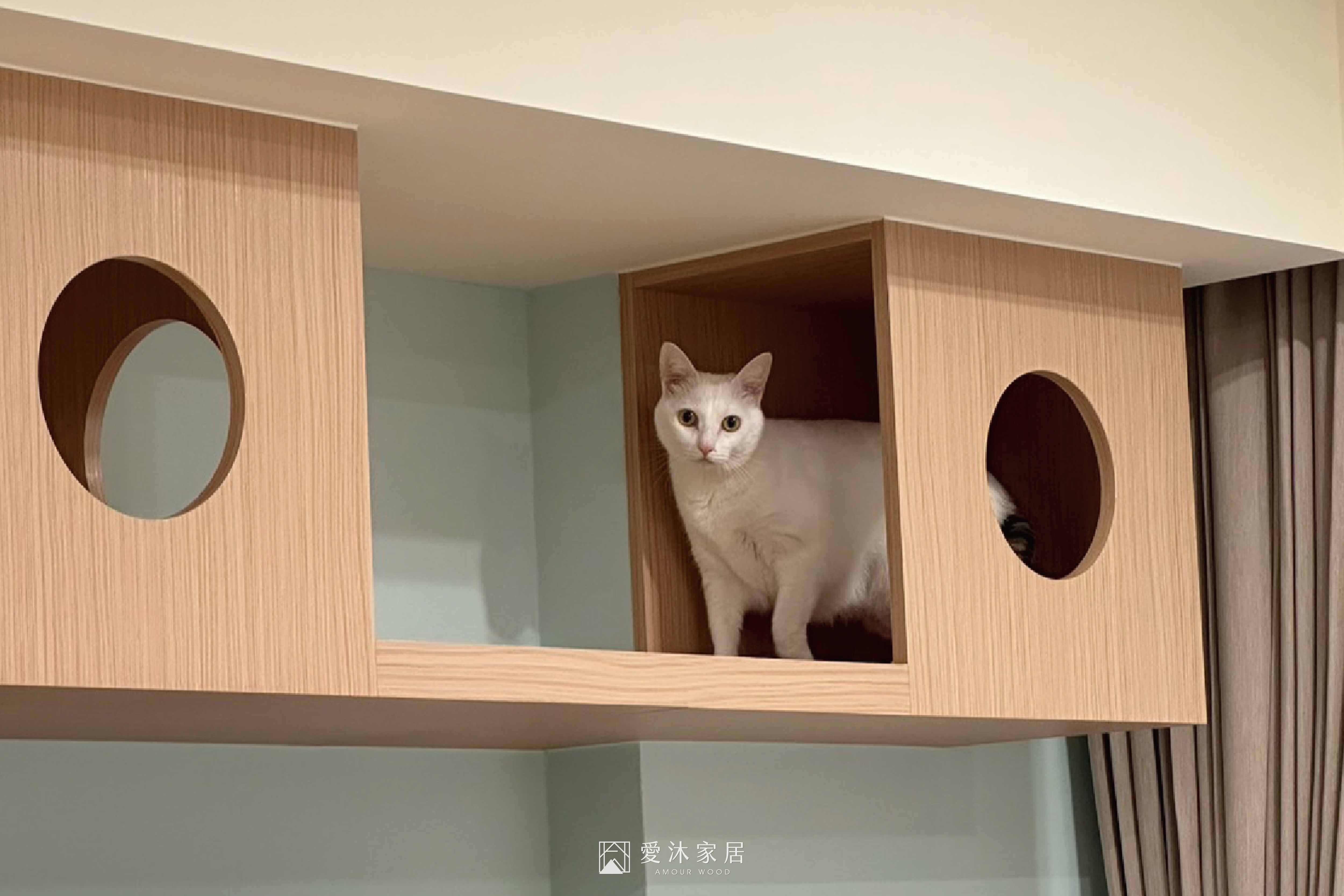 暖調北歐風格|與喵星人的薄荷星球
