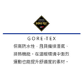 (男)【美津濃MIZUNO】WAVE SERENE GTX 慢跑鞋-灰綠色 J1GC246051_2 (男)【美津濃MIZUNO】WAVE SERENE GTX 慢跑鞋-灰綠色 J1GC246051_2