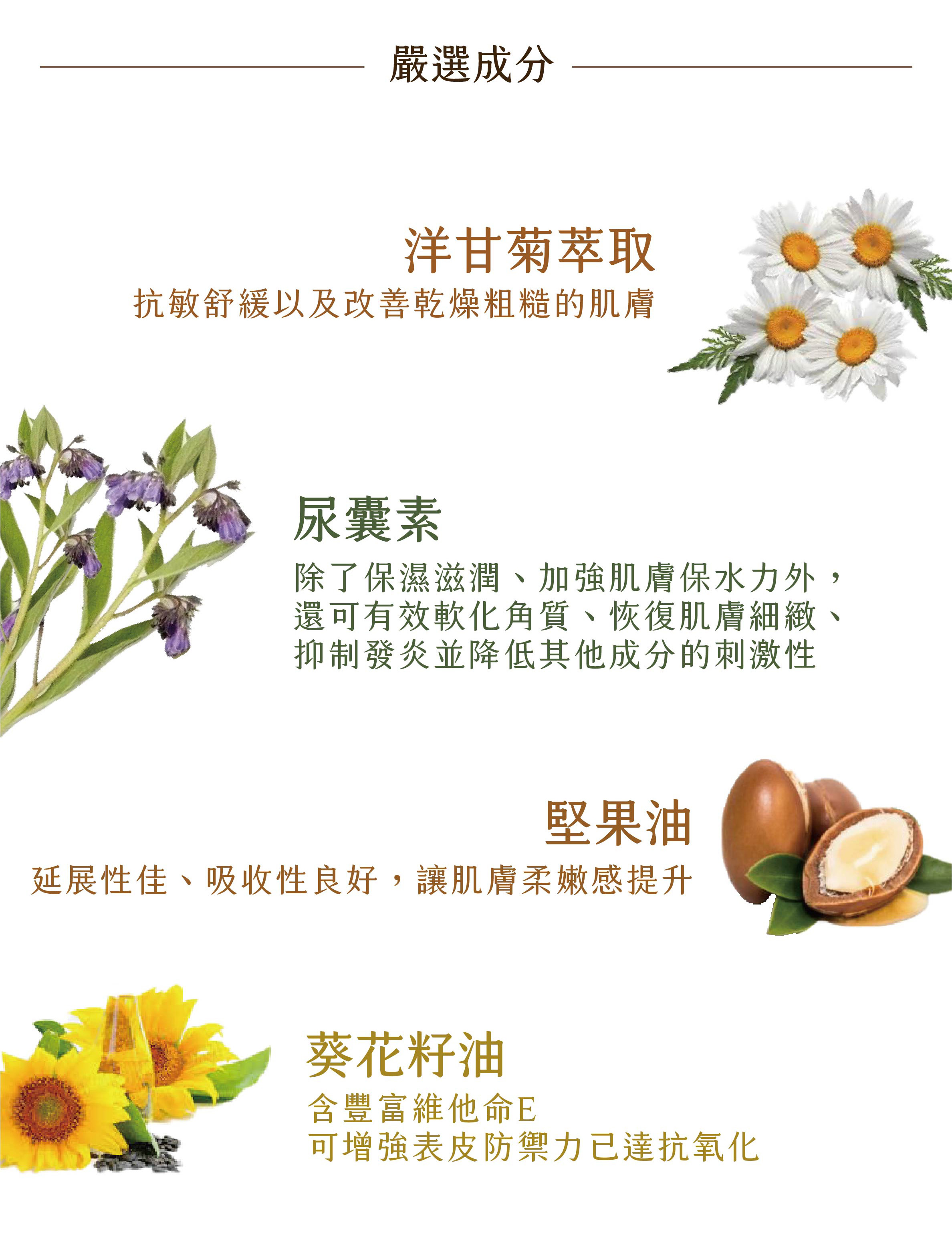 安定舒緩水凝乳成分