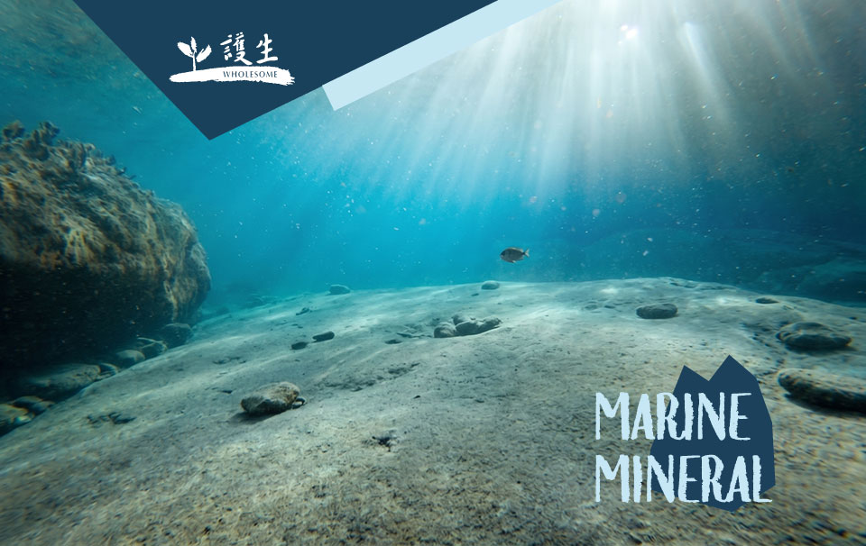 MARINE MINERAL 海洋礦物清潔系列