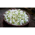 【竹峰茗茶】知子茶-獨立袋裝茶包(2027/8)_2 【竹峰茗茶】知子茶-獨立袋裝茶包(2027/8)_2