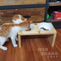訂製品 手工製 寵物斜口碗 飼料盆 飼料碗 CU084_1 訂製品 手工製 寵物斜口碗 飼料盆 飼料碗 CU084_1