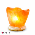 招財大元寶鹽燈 | 金黃_1 招財大元寶鹽燈 | 金黃_1