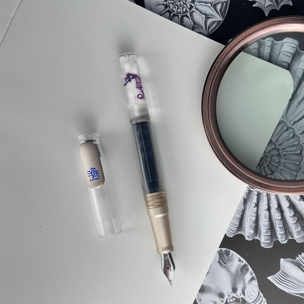 Kairu x SKB 透明標本鋼筆+墨水禮盒 共四色 海馬 鋼筆 Kairu x SKB 透明標本鋼筆+墨水禮盒 共四色 海馬 鋼筆